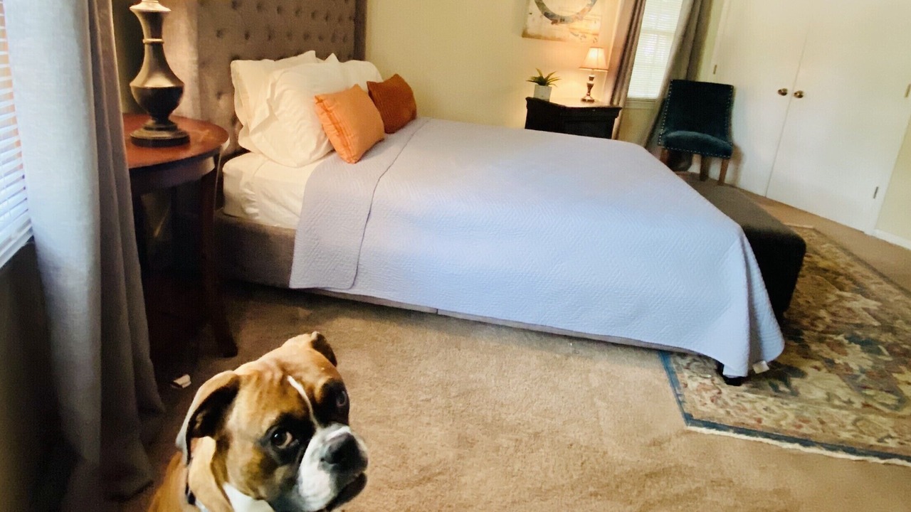 Photo of Bedroom in Mobile