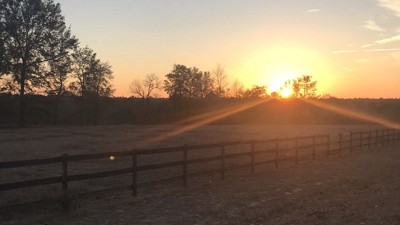 Photo of Others in Middleburg
