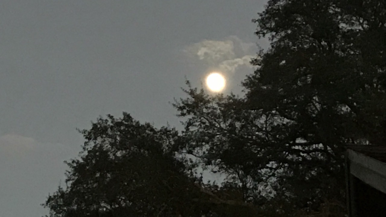 Photo of Others in Middleburg