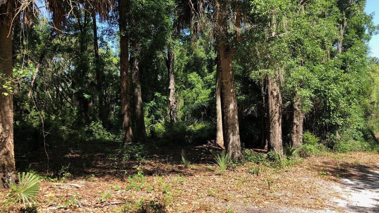 Photo of Outdoor in Crescent City