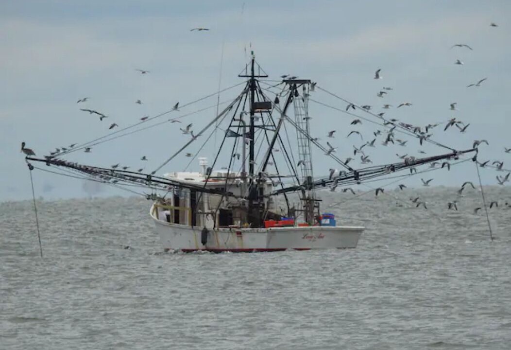 Photo of Others in Tybee Island
