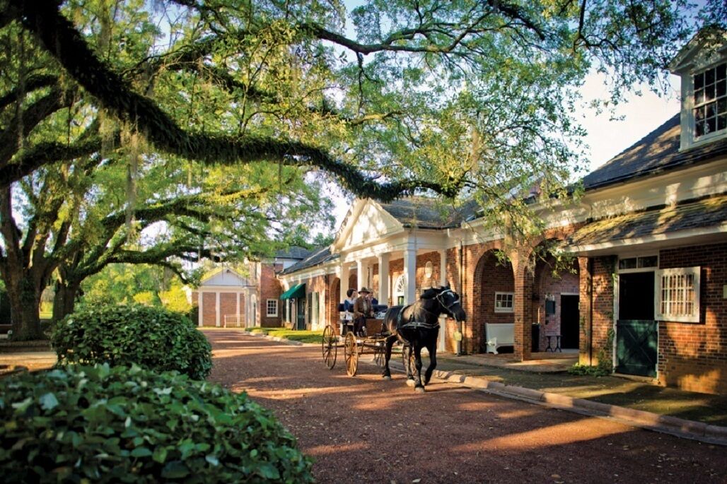 Photo of Others in Thomasville