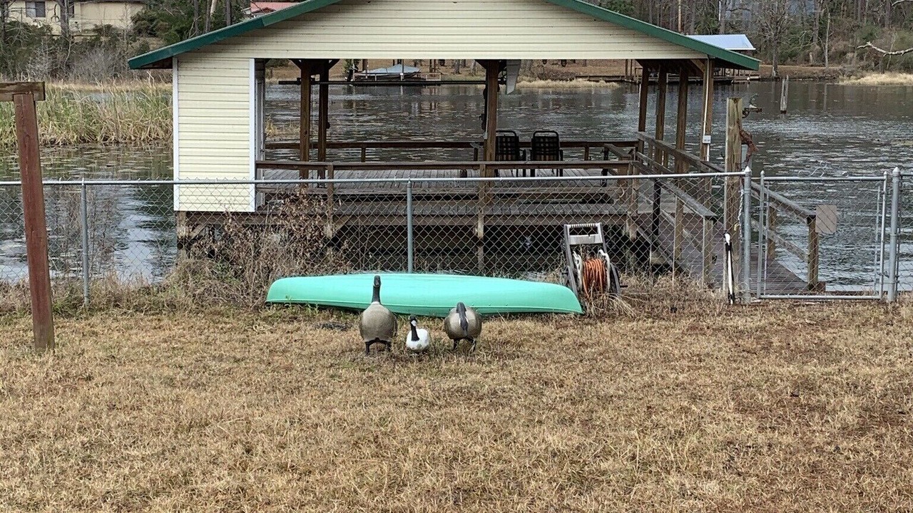 Photo of Outdoor in Donalsonville