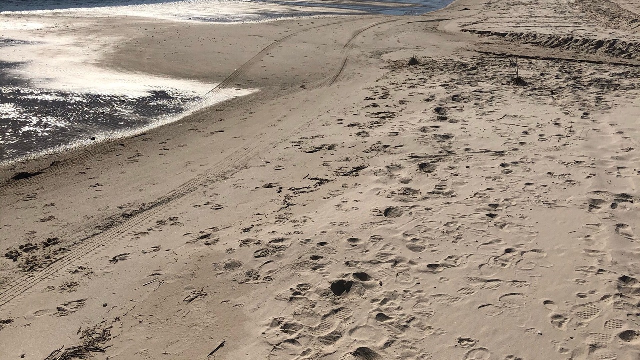 Photo of Others in Waveland