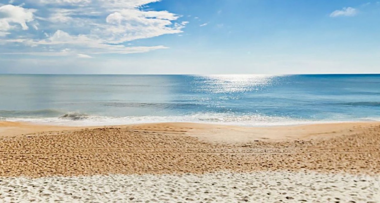Photo of Others in Palm Coast