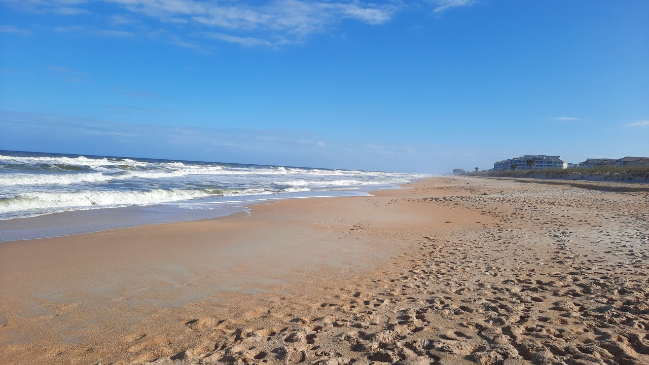 Photo of Others in Palm Coast
