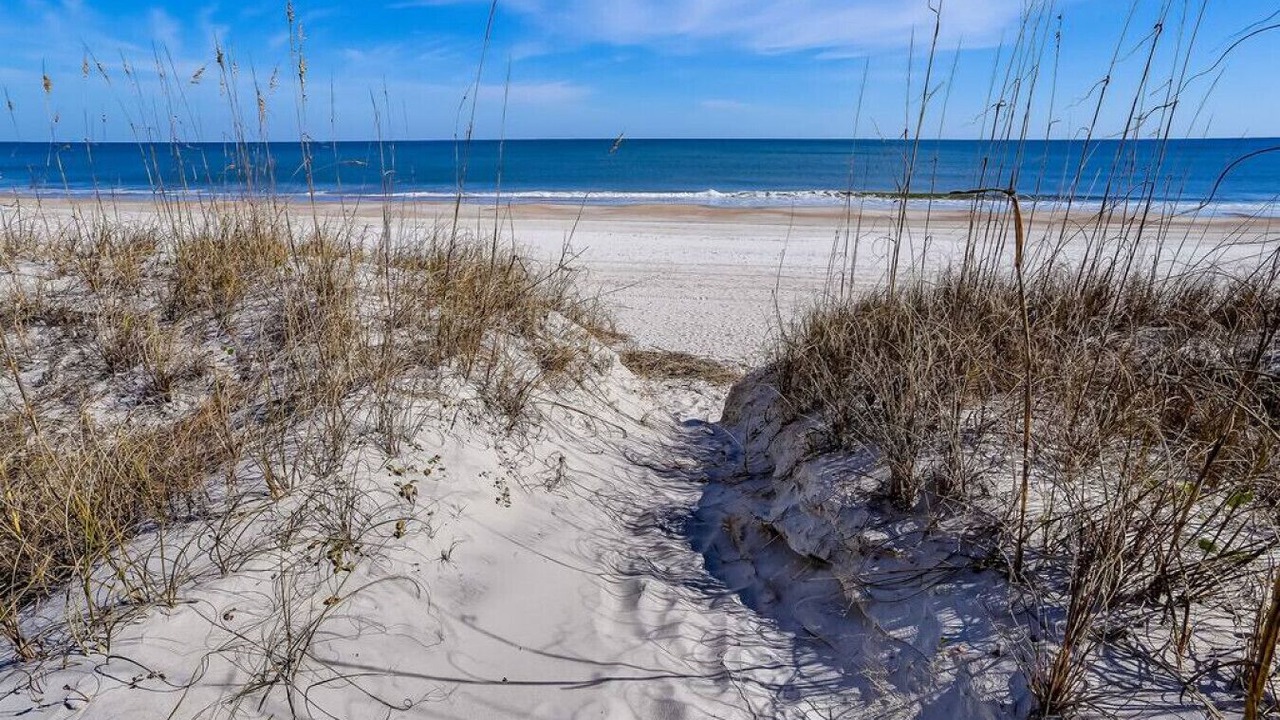 Photo of Others in Fernandina Beach