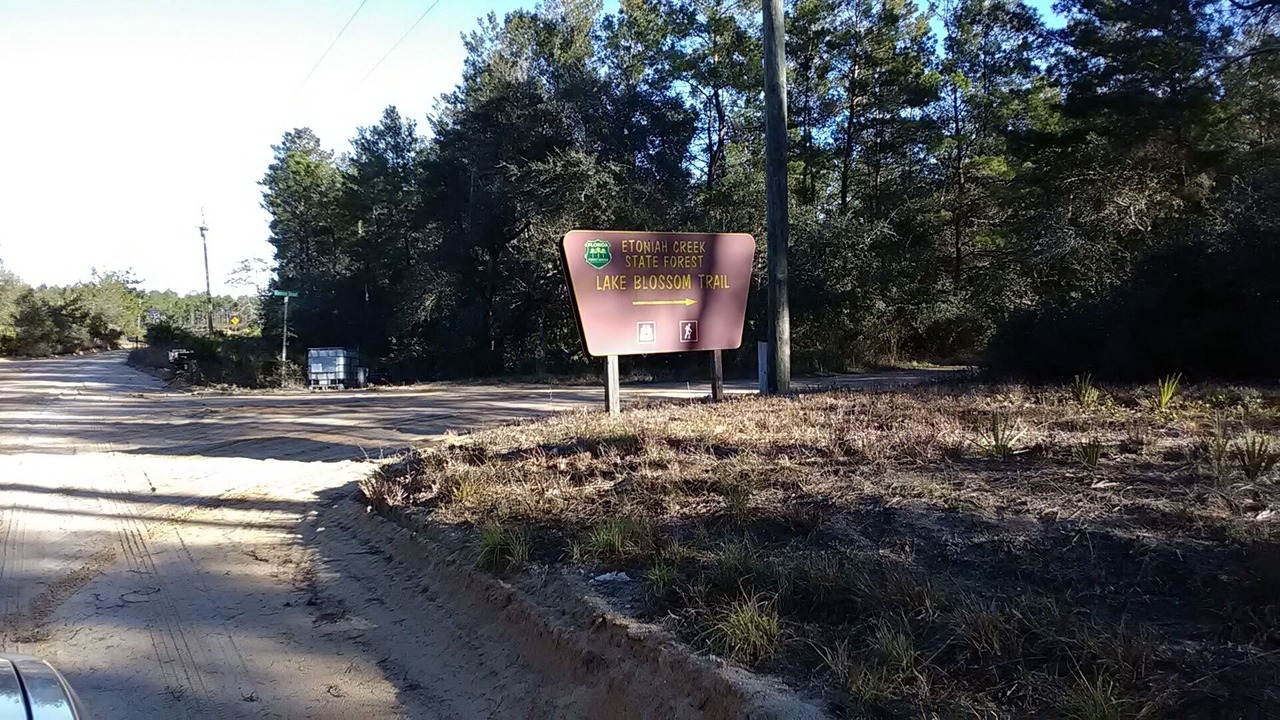 Photo of Outdoor in Florahome
