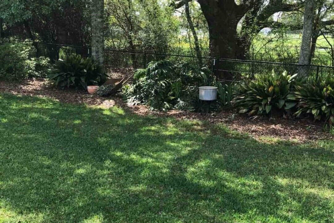 Photo of Outdoor in Picayune