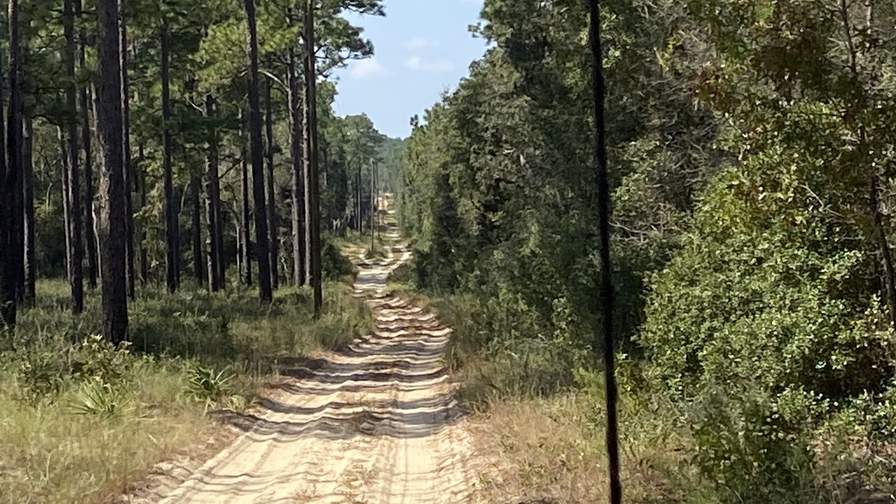 Photo of Others in Interlachen