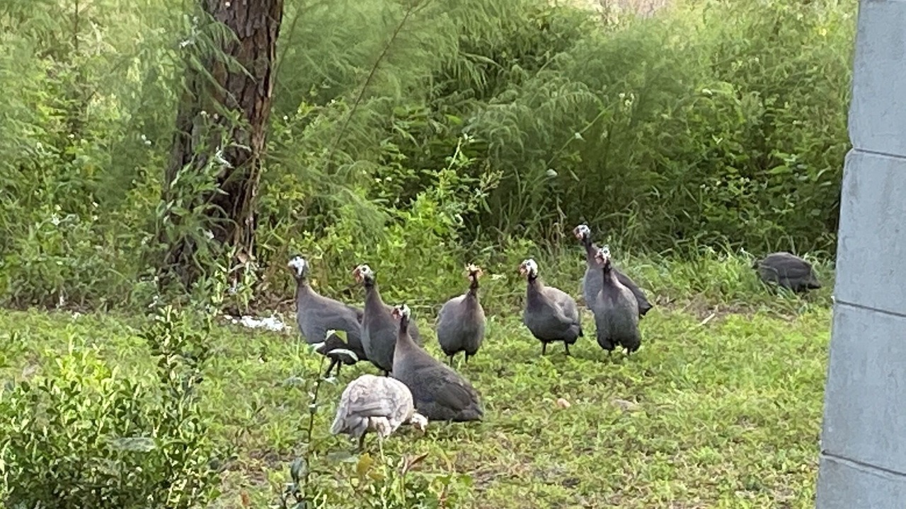 Photo of Others in Interlachen