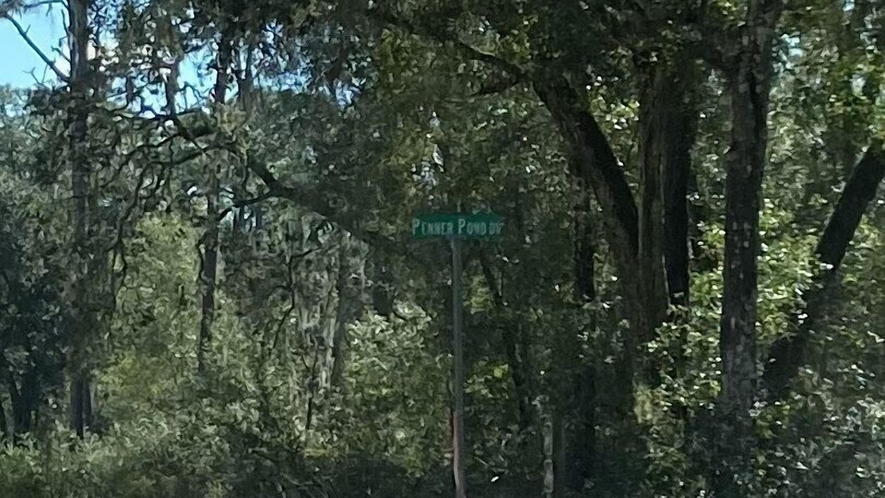 Photo of Others in Interlachen