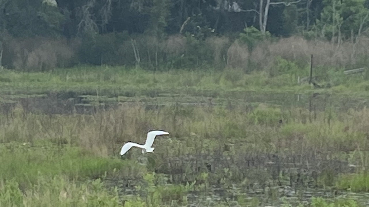 Photo of Others in Interlachen