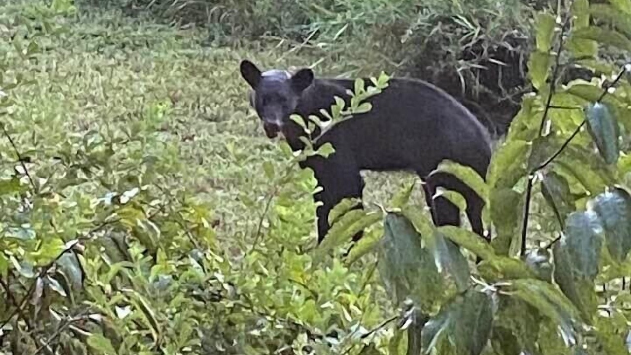 Photo of Others in Interlachen