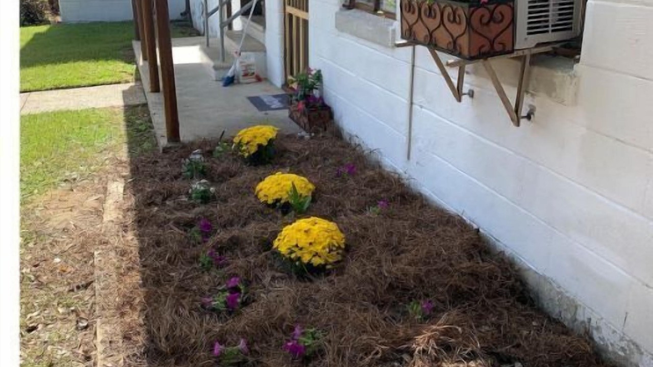 Photo of Outdoor in Valdosta