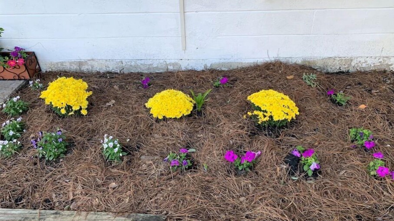 Photo of Outdoor in Valdosta