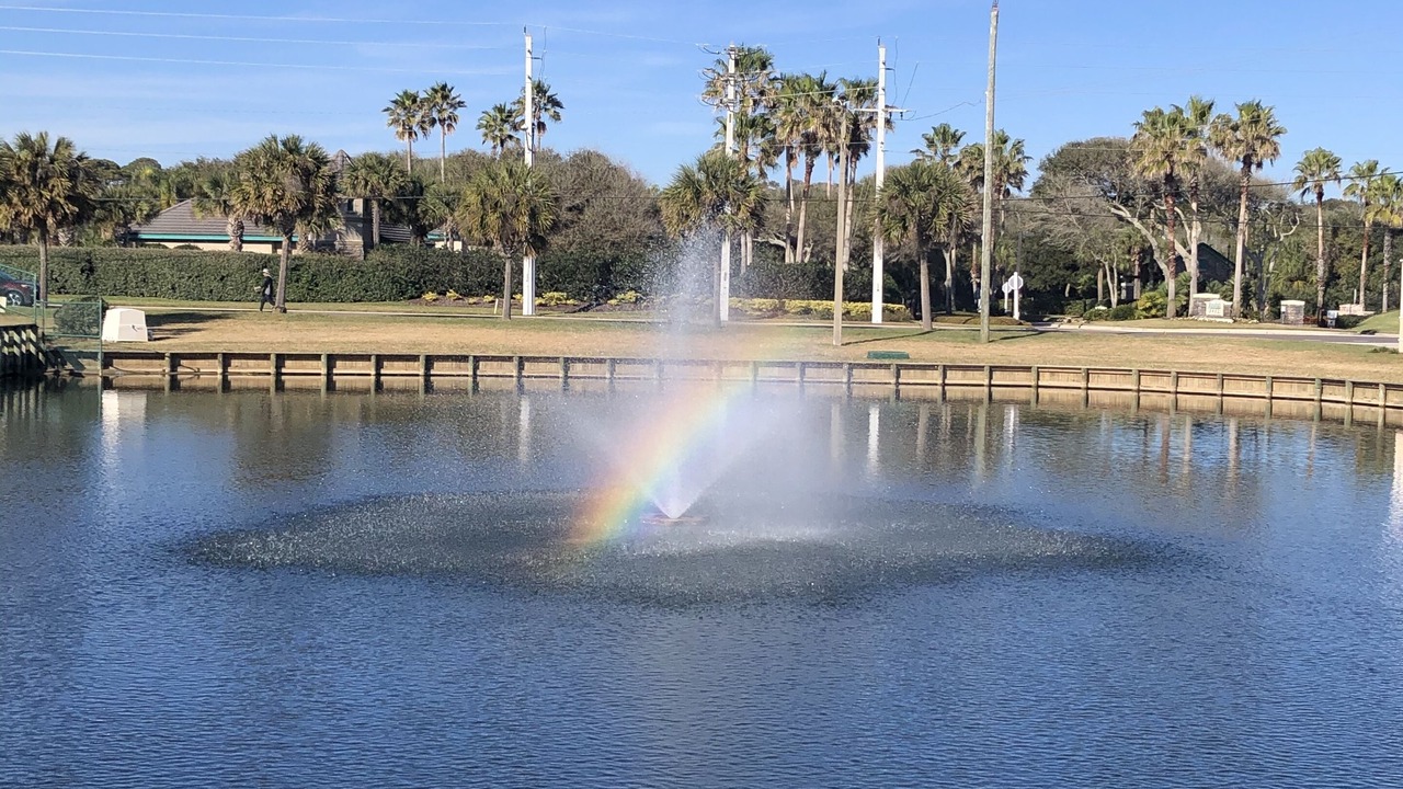 Photo of Outdoor in St. Augustine Beach