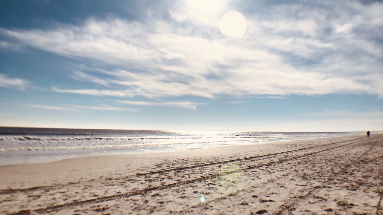 Photo of Others in St. Augustine Beach