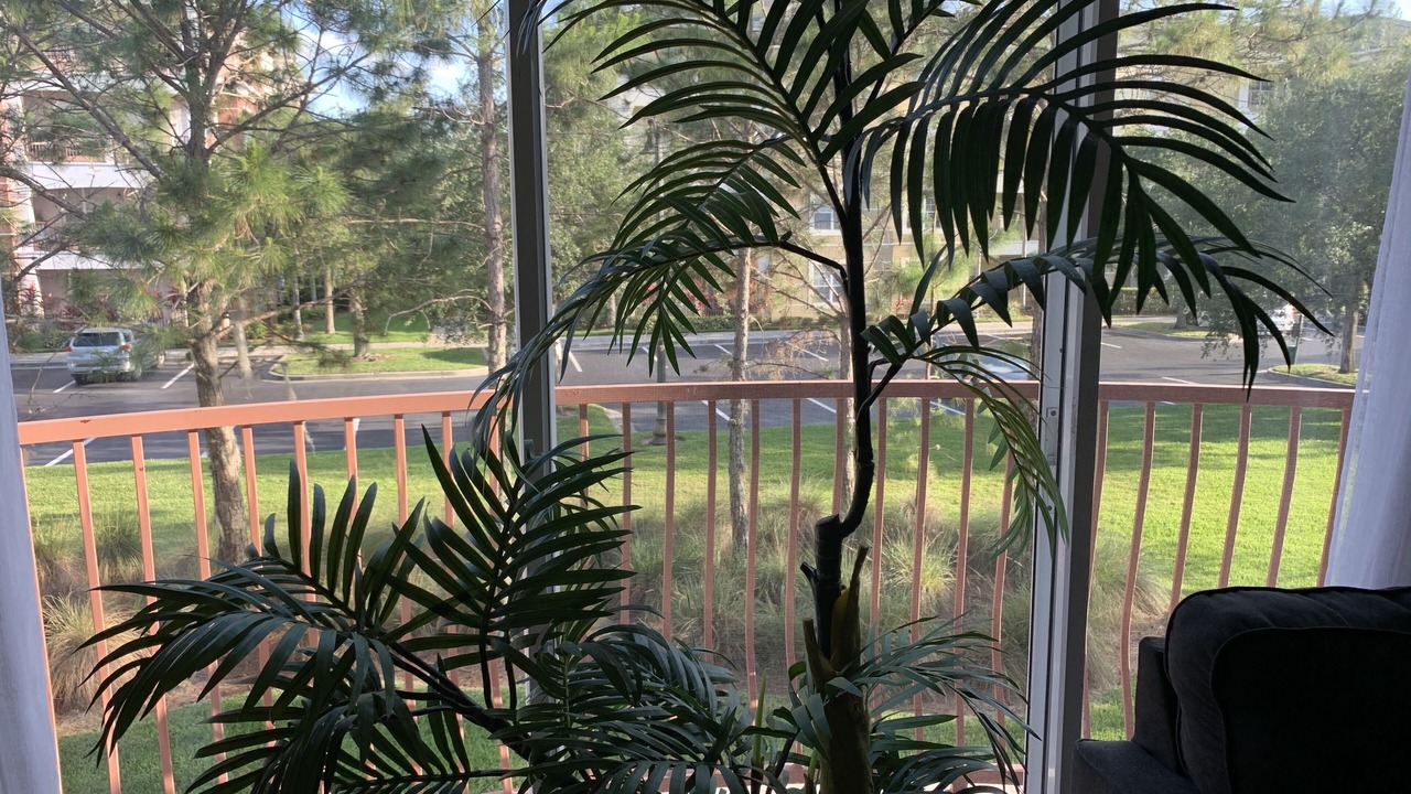 Photo of Patio Balcony in Florida Central Atlantic Coast