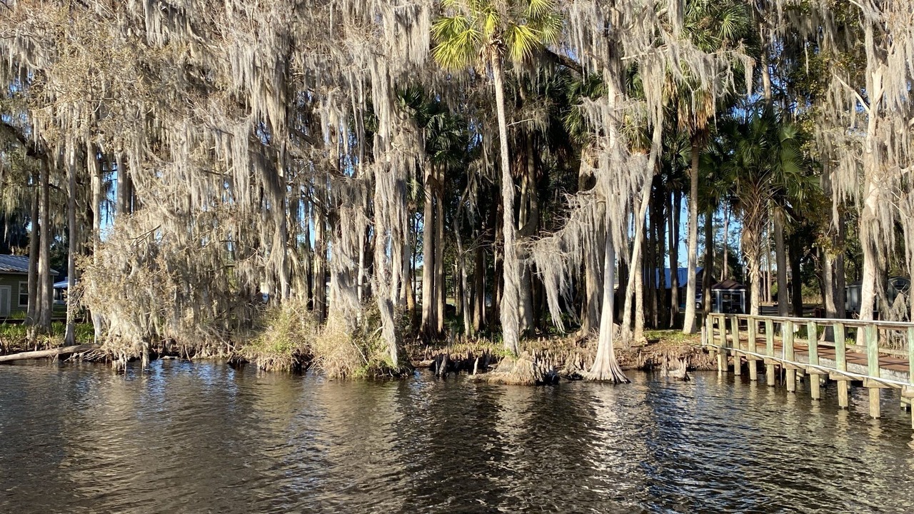 Photo of Outdoor in Crescent City