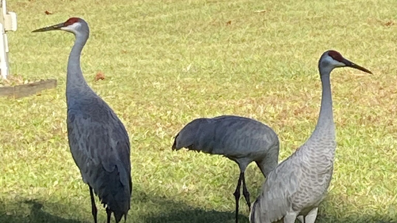 Photo of Outdoor in Crescent City