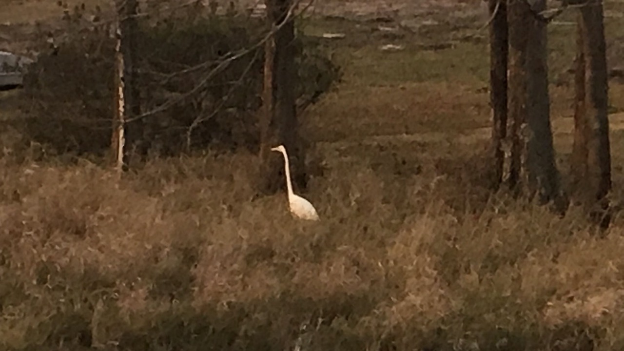Photo of Others in Donalsonville