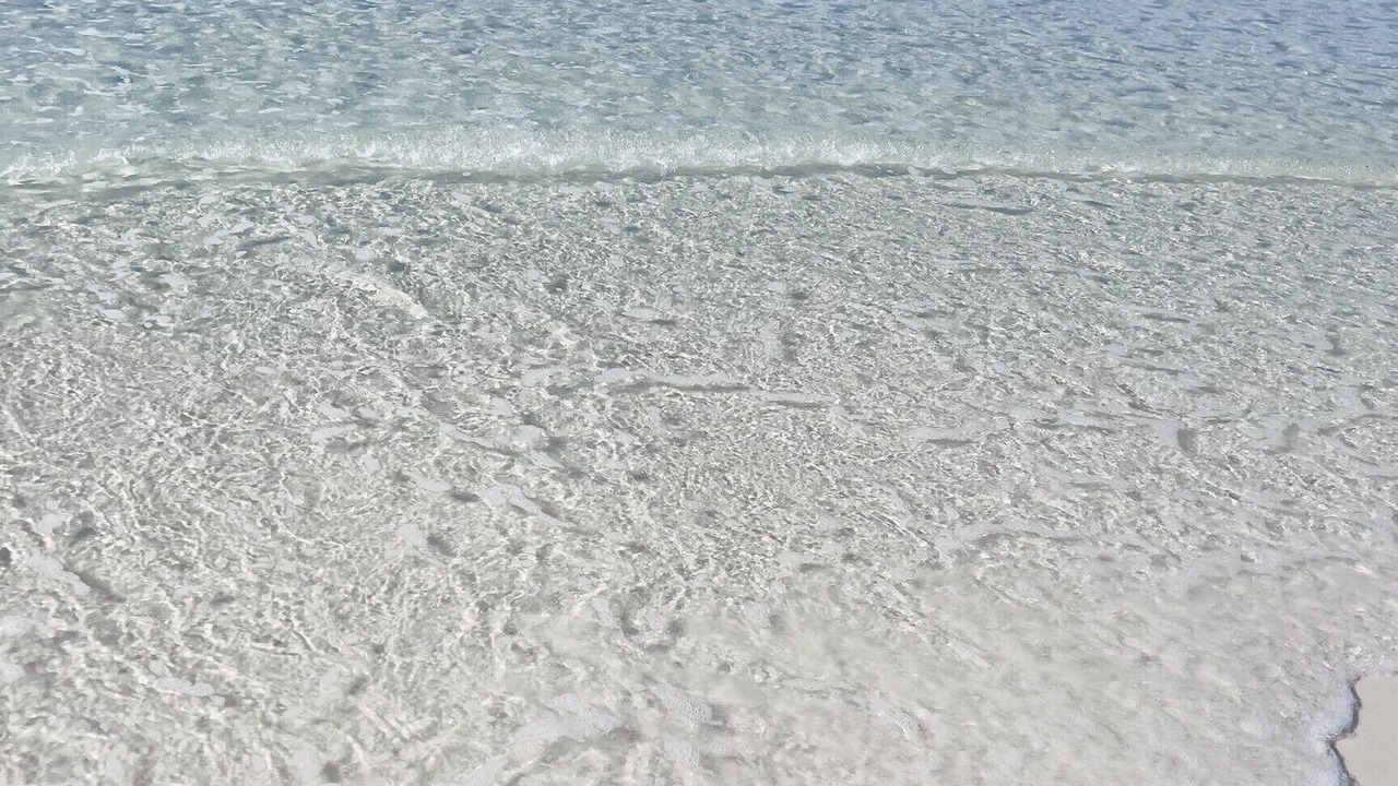 Photo of Others in Miramar Beach