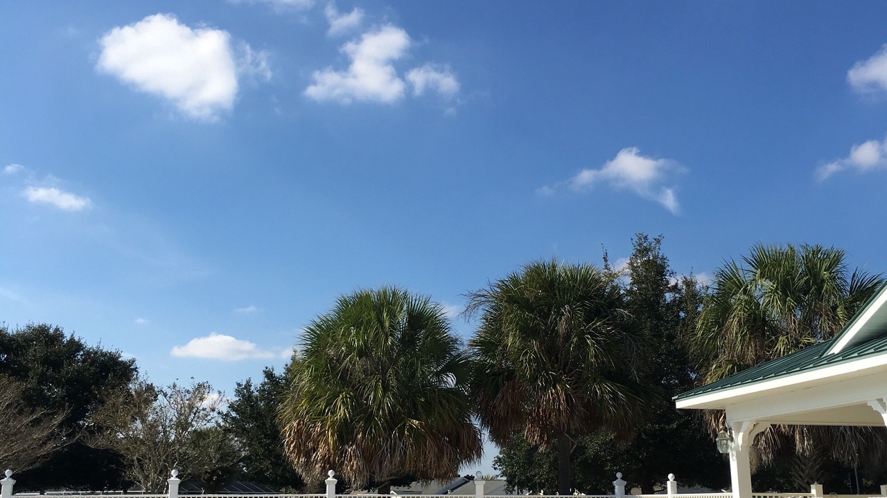 Photo of Outdoor in Sabal Chase