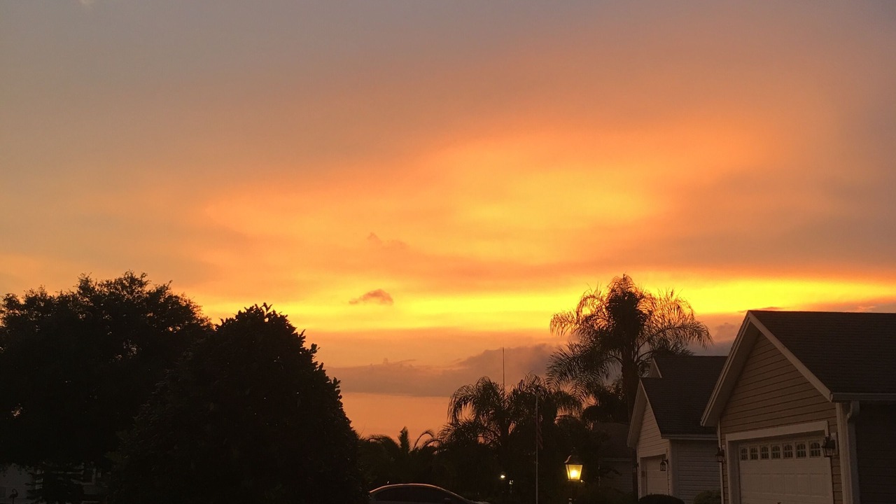 Photo of Outdoor in Sabal Chase