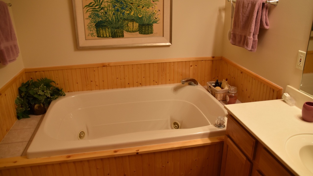 Photo of Bathroom in Mancelona