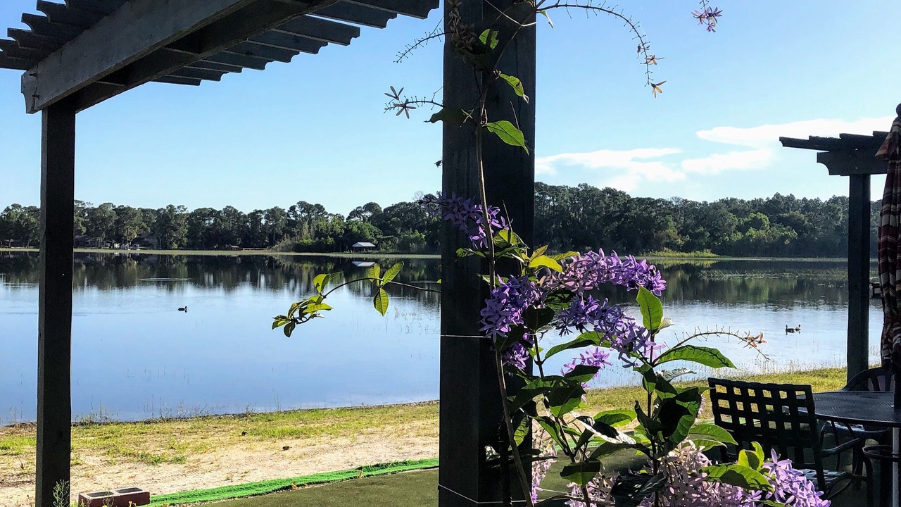 Photo of Outdoor in Lake Mary