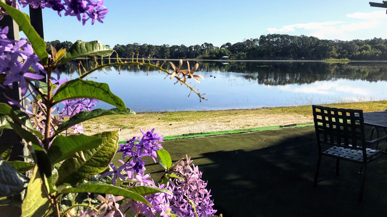 Photo of Outdoor in Lake Mary