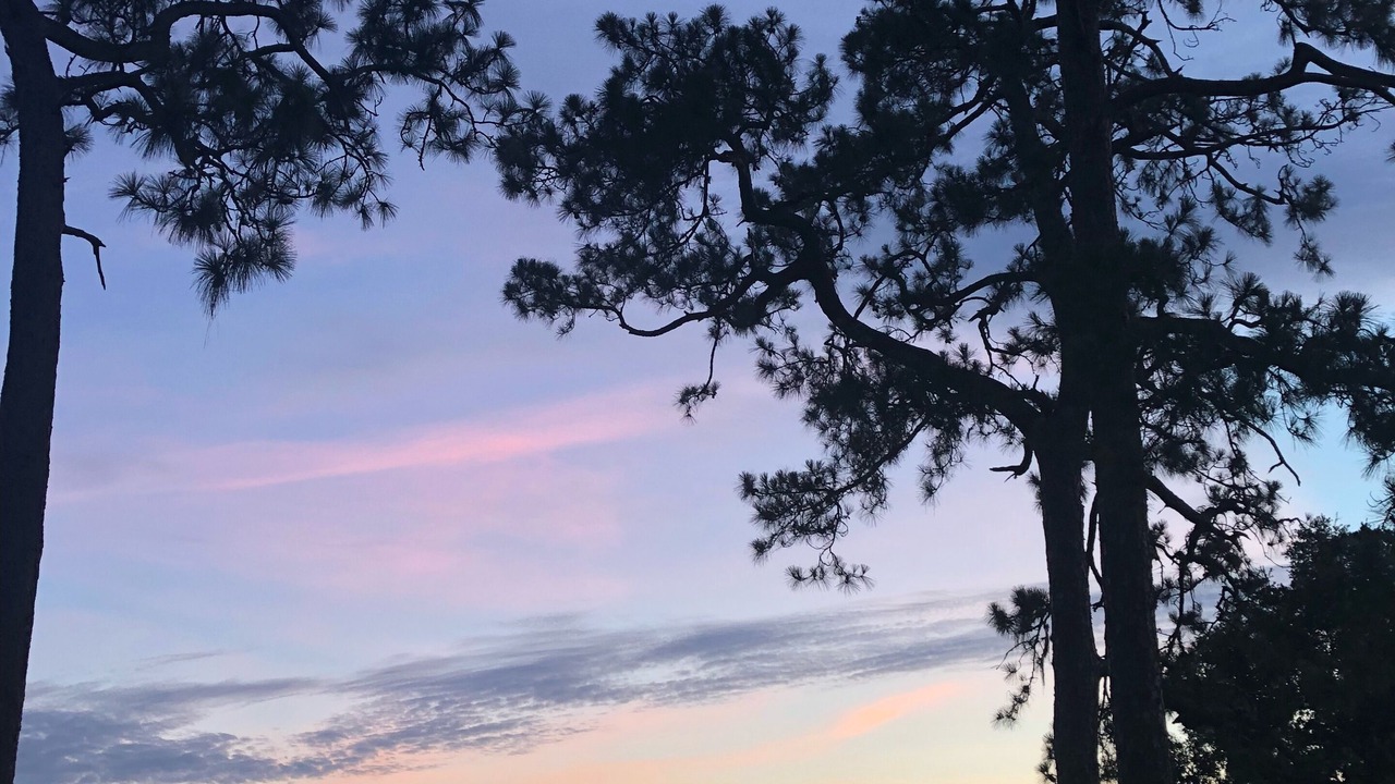 Photo of Others in Lake Mary