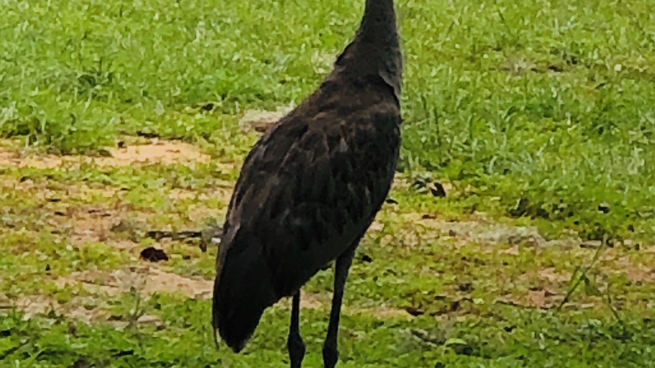 Photo of Outdoor in Edgar