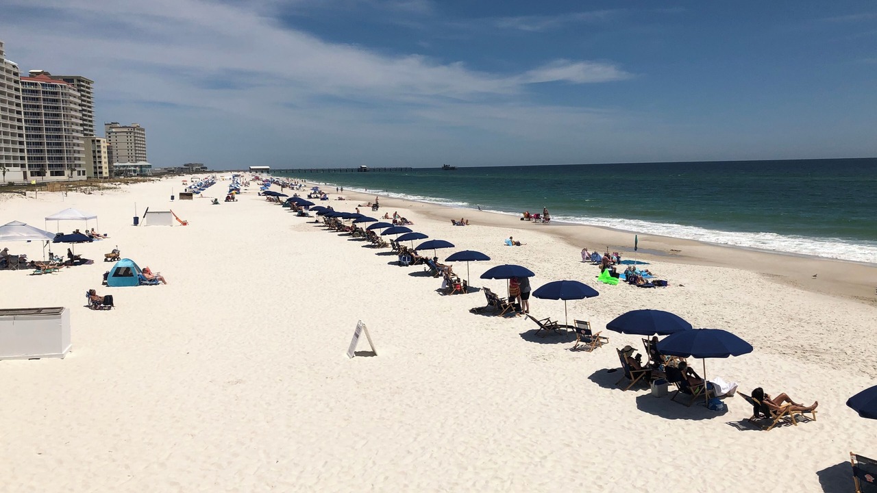 Photo of Others in Gulf Shores