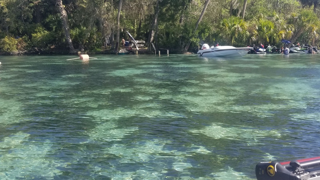 Photo of Others in Salt Springs