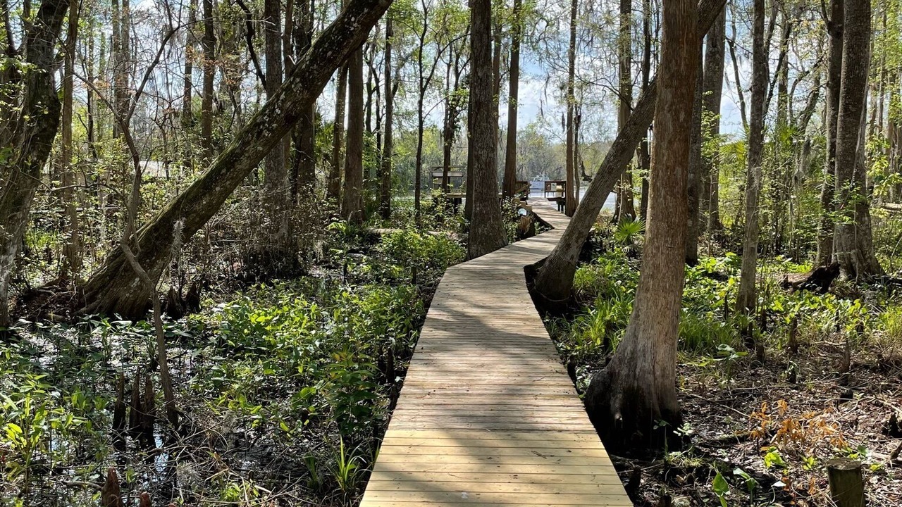 Photo of Outdoor in Satsuma