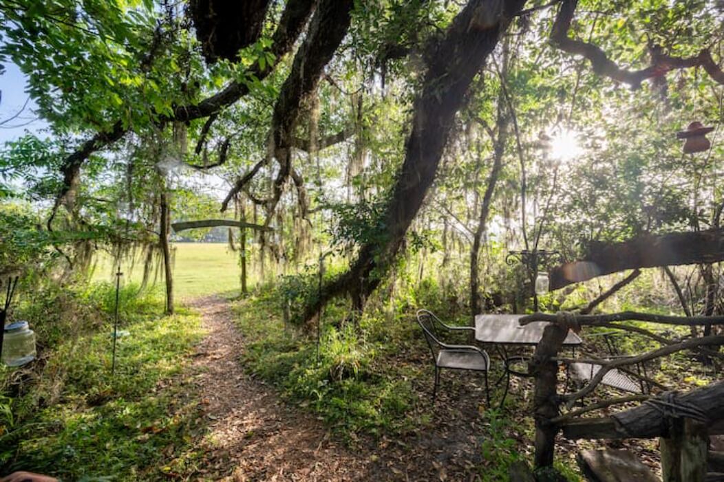 Photo of Outdoor in Live Oak