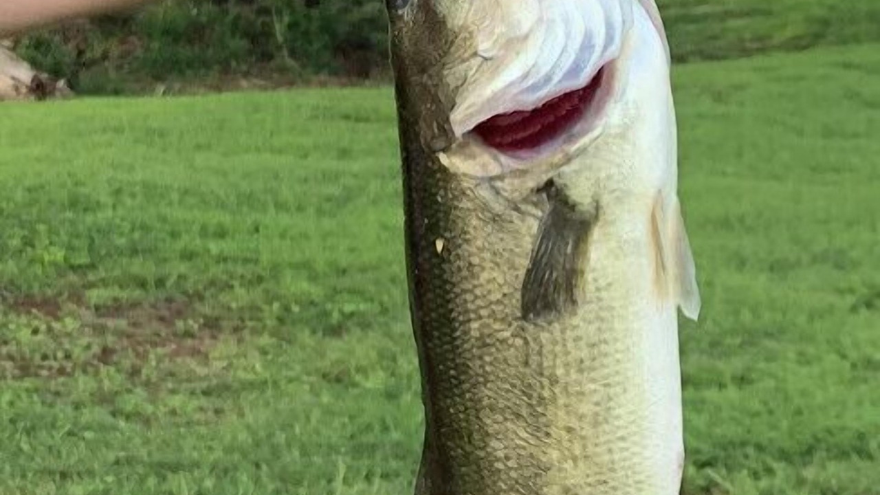 Photo of Others in Groveoak