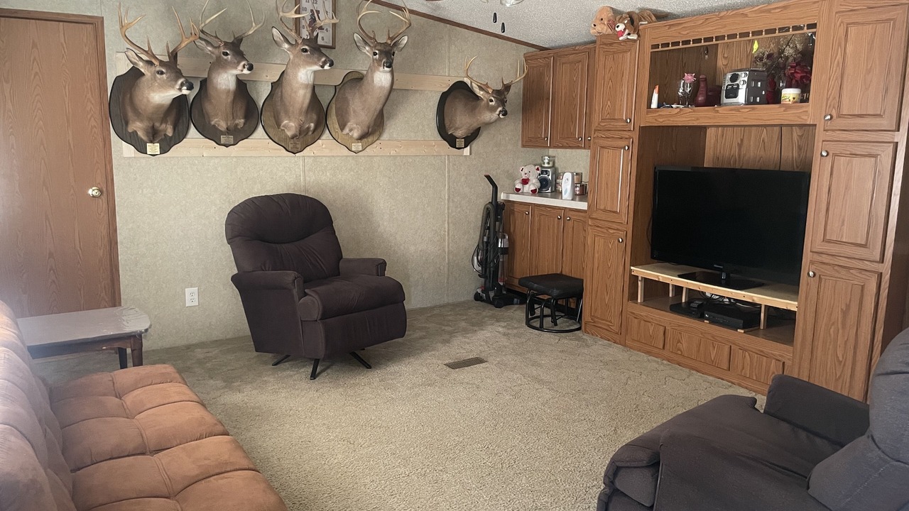 Photo of Livingroom in Jasper