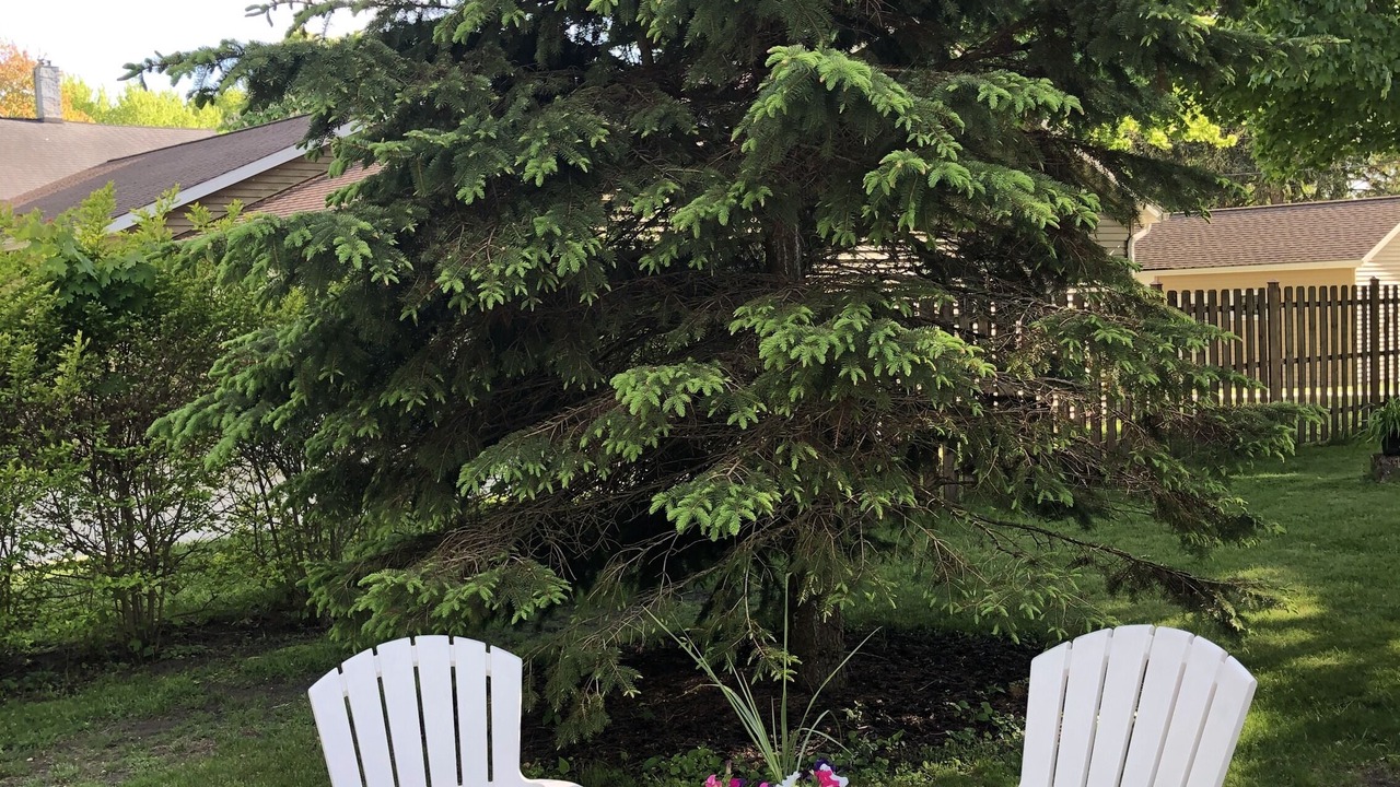 Photo of Outdoor in Ludington