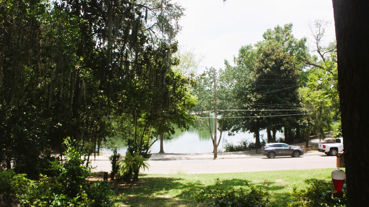 Photo of Others in Tallahassee