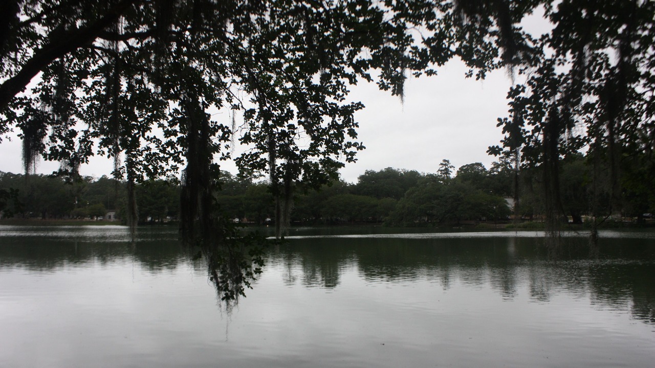 Photo of Outdoor in Tallahassee