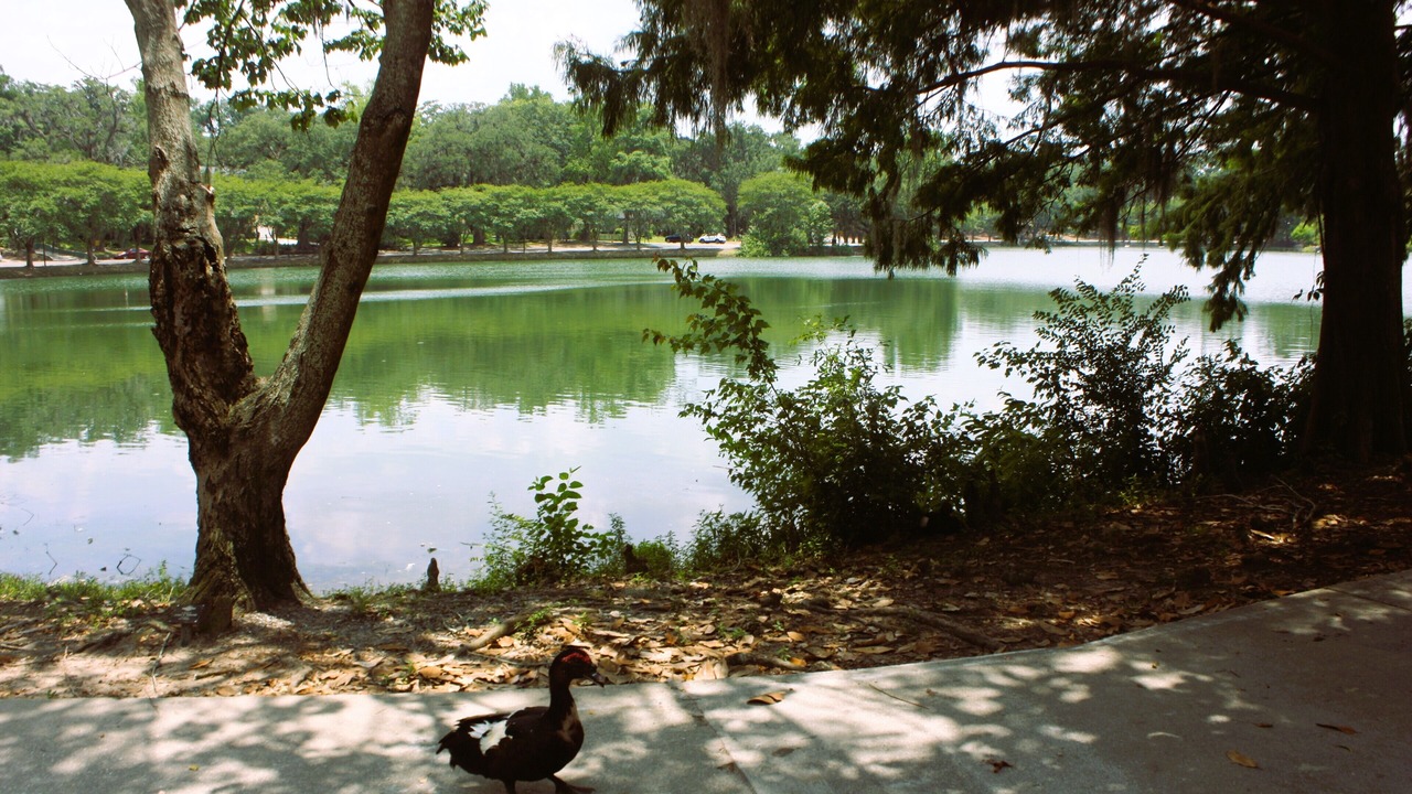 Photo of Others in Tallahassee