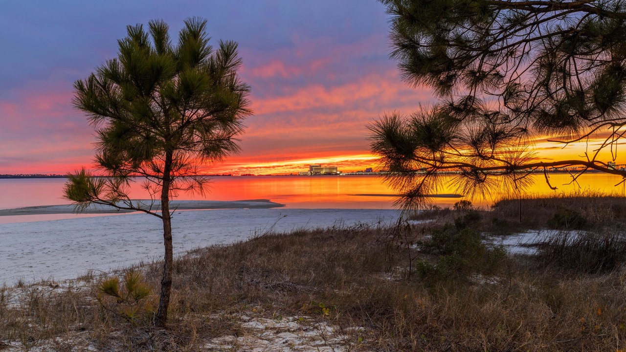 Photo of Others in Ocean Springs