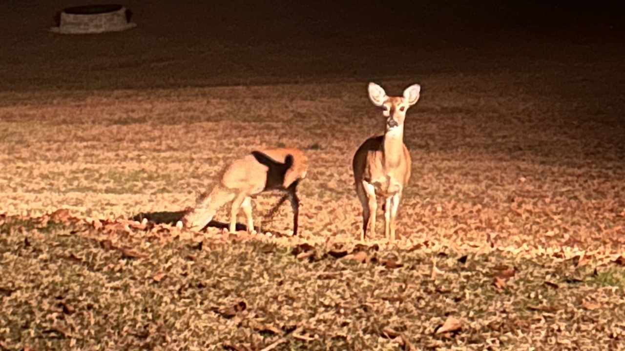 Photo of Outdoor in Northport
