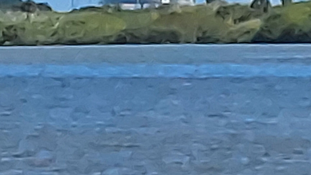 Photo of Others in Titusville