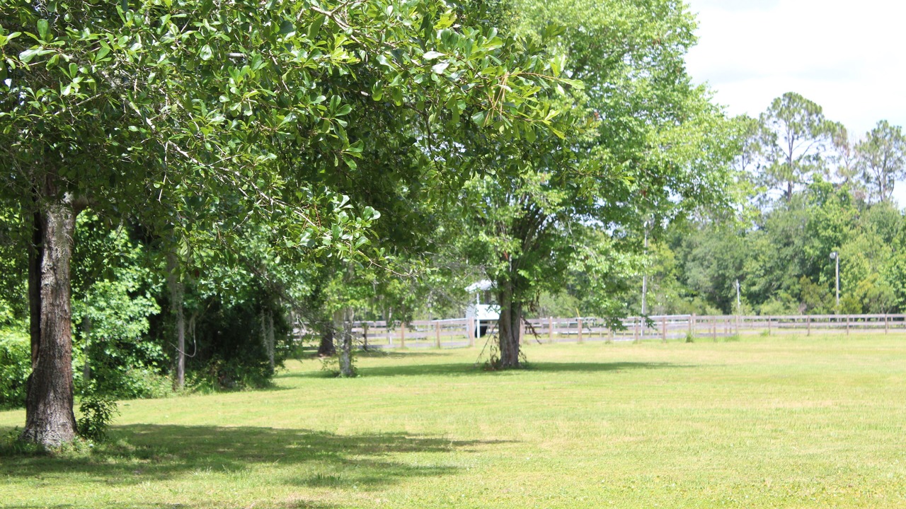 Photo of Others in Elkton