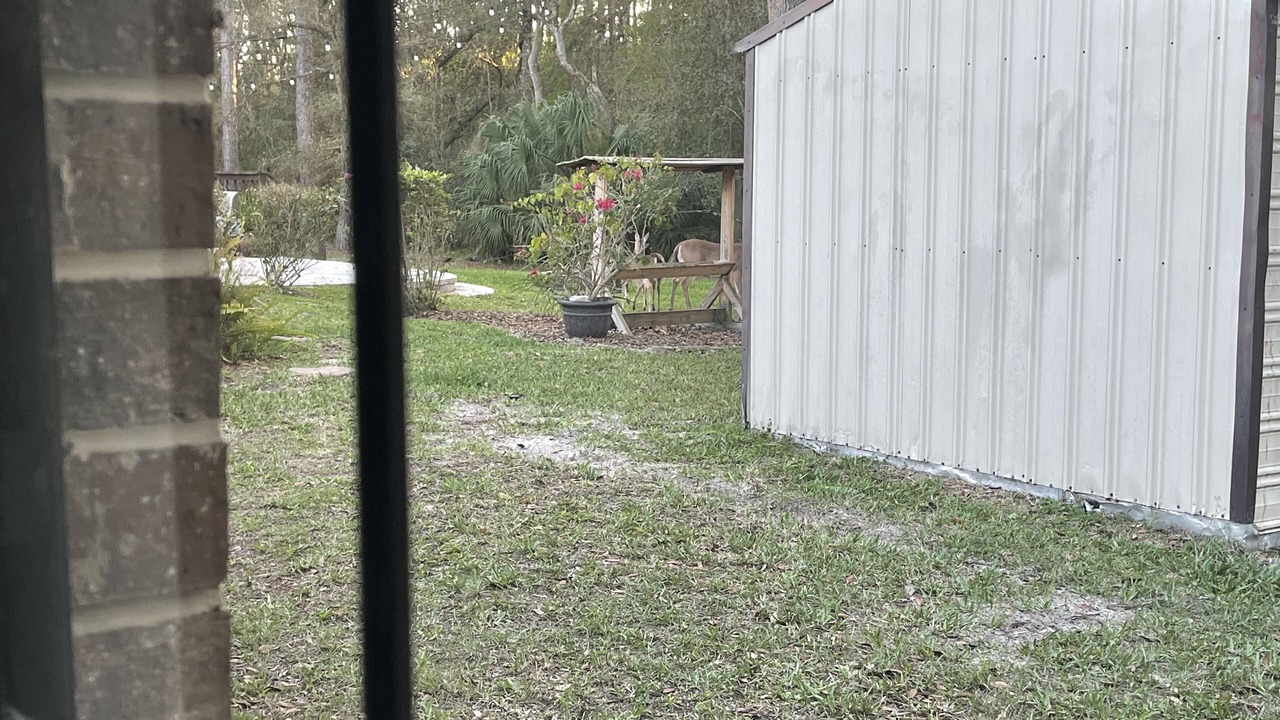 Photo of Outdoor in St. Augustine