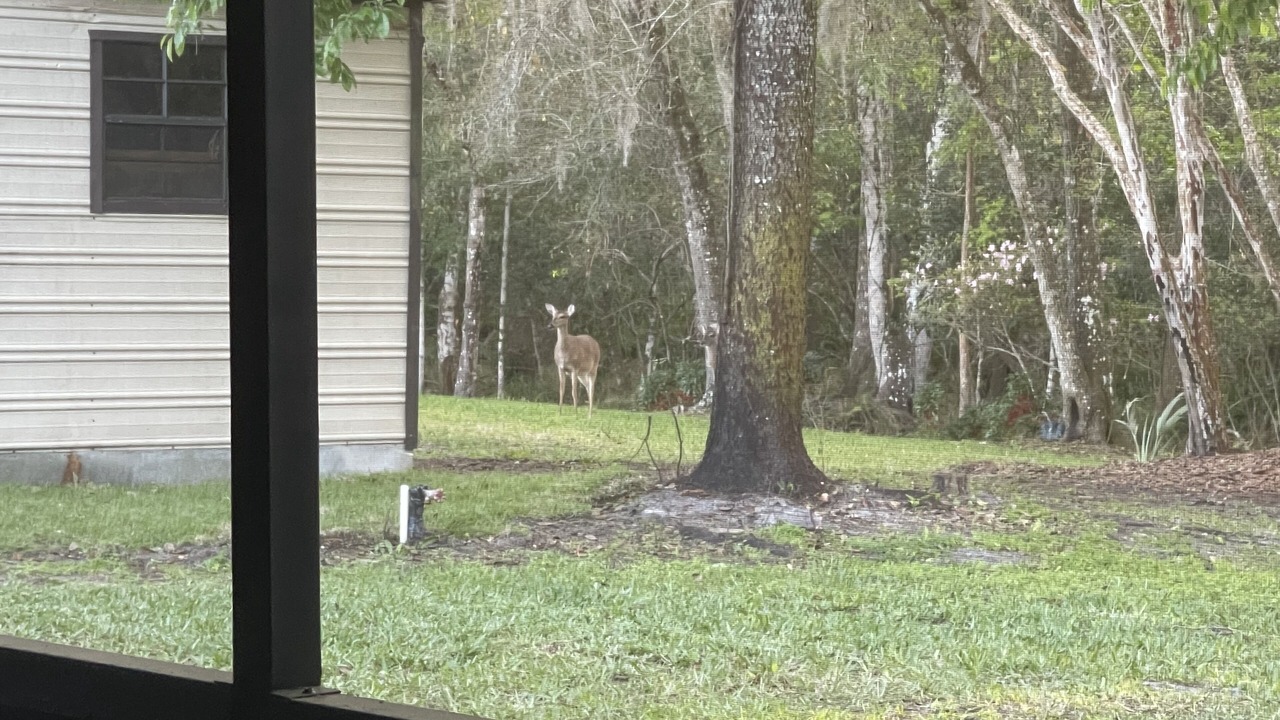 Photo of Outdoor in St. Augustine